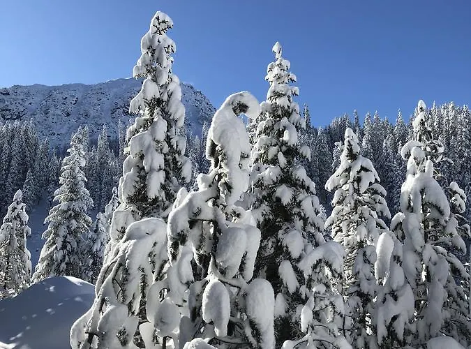 Lägenhet D'uval Arosa