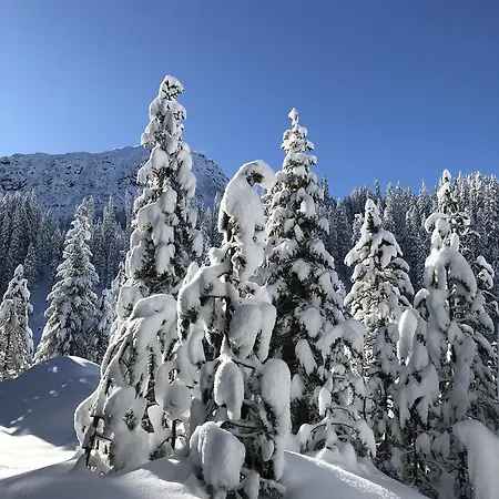 Lejlighed D'uval Arosa